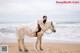 A woman in a white dress riding a horse on the beach.